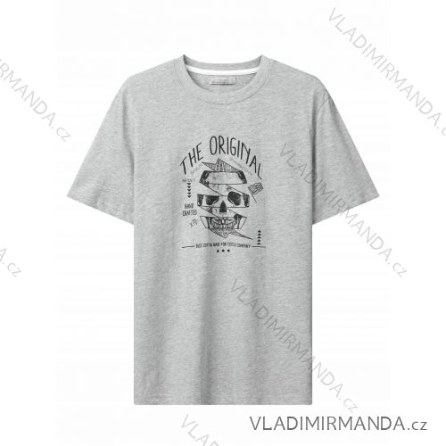 Tričko krátký rukáv pánské (M-2XL) GLO-STORY GLO24MPO-3480