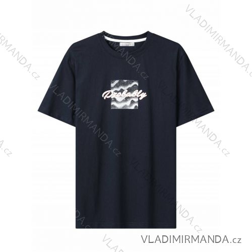 T-shirt short sleeve men's (M-2XL) GLO-STORY GLO24MPO-3507