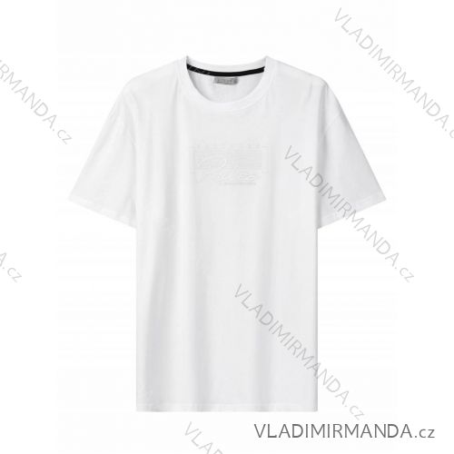 Tričko krátký rukáv pánské nadrozměr (3XL-5XL) GLO-STORY GLO24MPO-3510