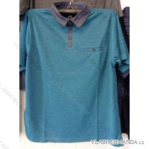 T-shirt with collar short sleeve men's oversized (l-4xl) BATY PCS-PHAY
