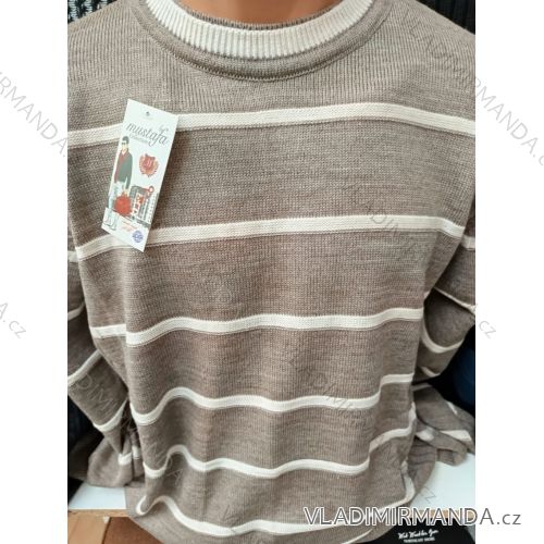 Sweater men's cotton pullover (2xl-4xl) GLO-STORY TME924SVETR