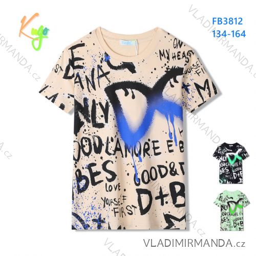 Short sleeve T-shirt for boys (134-164) KUGO FB3812