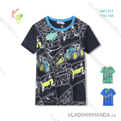 Short sleeve T-shirt for children and teenagers (116-146) KUGO WP7313