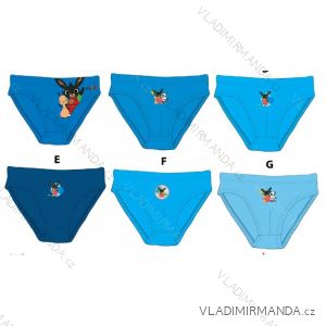 Panties frozen kingdom baby girl (2-8 years) SETINO 731-FR-G-UW-05