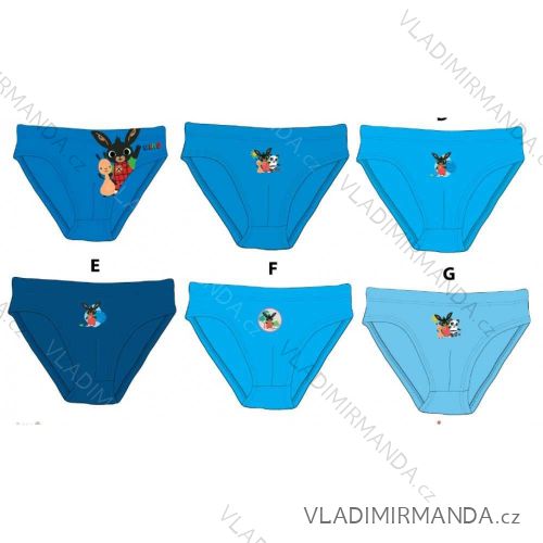 Panties frozen kingdom baby girl (2-8 years) SETINO 731-FR-G-UW-05