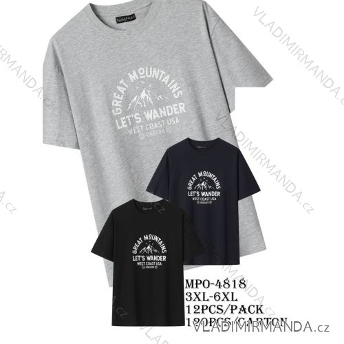 Tričko krátký rukáv pánské nadrozměr (3XL-6XL) GLO-STORY GLO25MPO-4818