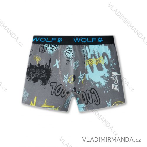 Nightgown long sleeve children's girls (140-170) WOLF S2382