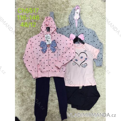 Tracksuit Sweatshirt, Tracksuit, T-Shirt Short Sleeve Girl Child (116-146) SAD SAD19CH5517
