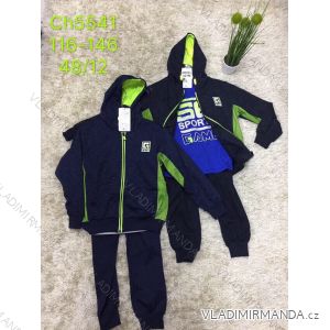 Tracksuit sweatshirt, tracksuit, t-shirt youth boy (116-146) SAD SAD19CH5541
