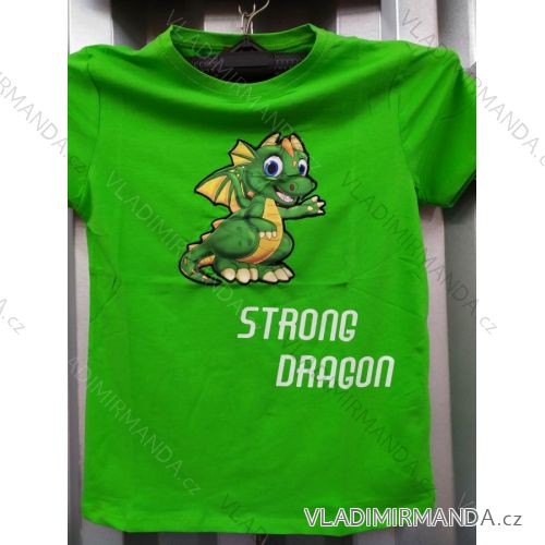 Flashing Shining Short Sleeve Kids' Teen Boys (128-164) TURKISH FASHION TVF20010
