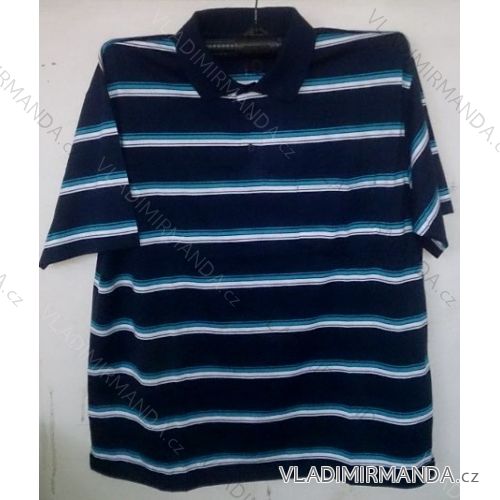 Men's Polo Shirt (l-3xl) BATY PNAM-4 SOC-BE
