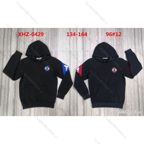 Boy's hooded sweatshirt (134-164) ACTIVE SPORT ACT21XHZ-0429