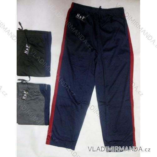 Men's tracksuits oversized (2xl-5xl) HAFW-807
