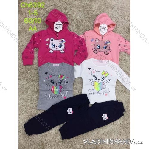 Sweatpants, hooded sweatshirt and t-shirt for children (1-5 years) SAD SAD20KK1070