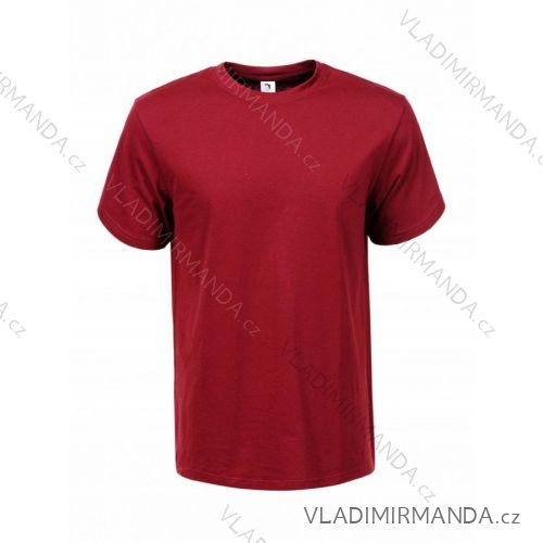 Tričko krátký rukáv pánské nadrozměrné (3XL-5XL) GLO-STORY GLO22MPO-D0119