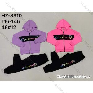 Set of hooded sweatshirt with zipper and sweatpants children's teen girls (116-146) ACTIVE SPORT ACT218P-7473