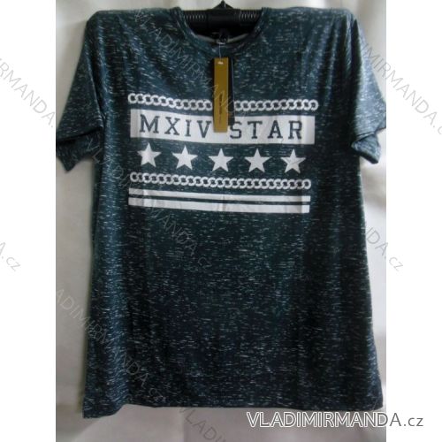 T-shirt men short sleeve (m-2xl) GUAN DA YUAN F913-118
