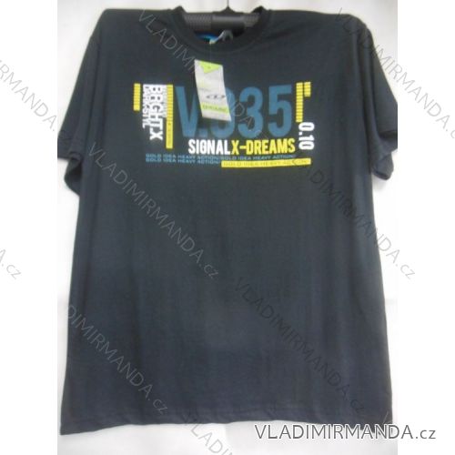 T-shirt short sleeve men's cotton (m-2xl) OBSESS TR6
