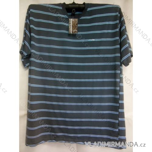 Tričko krátký rukáv nadrozměrné pánské (3xl-6xl) OBSESS 473004